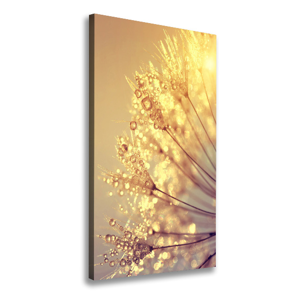 Canvas print Dandelion seeds