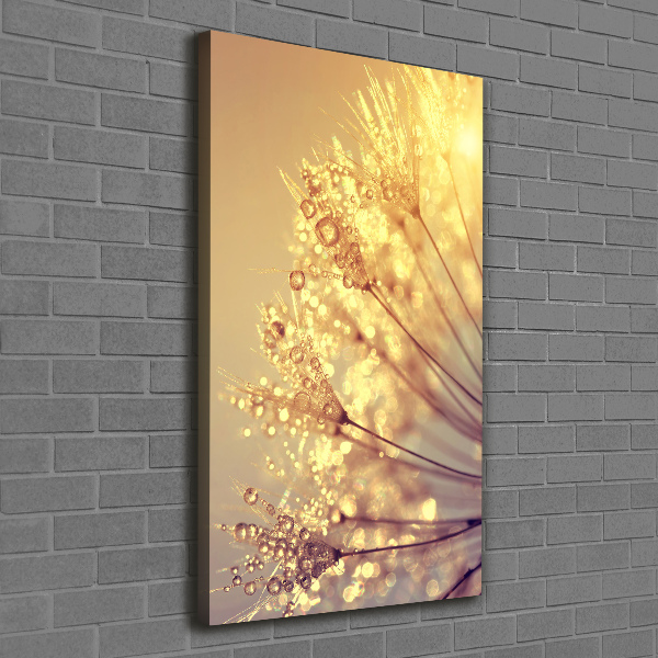 Canvas print Dandelion seeds