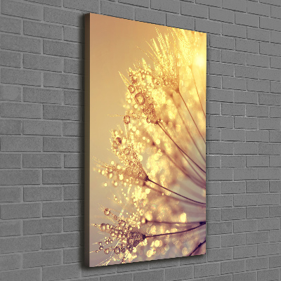 Canvas print Dandelion seeds