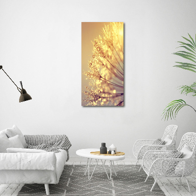 Canvas print Dandelion seeds