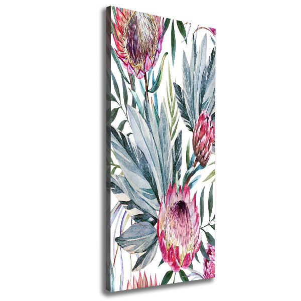 Picture canvas print Protea