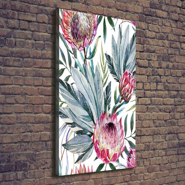 Picture canvas print Protea