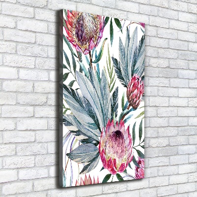 Picture canvas print Protea