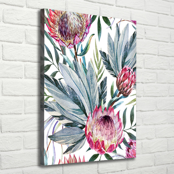 Picture canvas print Protea