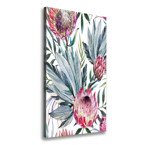 Picture canvas print Protea