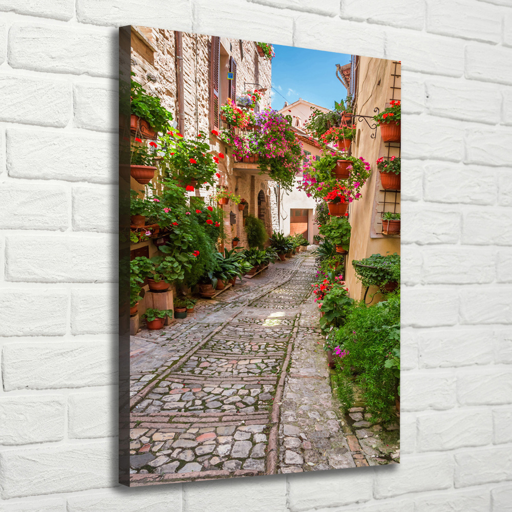 Large canvas wall art Umbria Italy