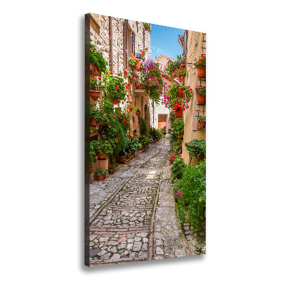 Large canvas wall art Umbria Italy