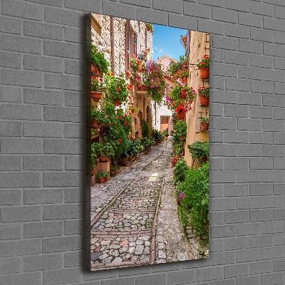 Large canvas wall art Umbria Italy