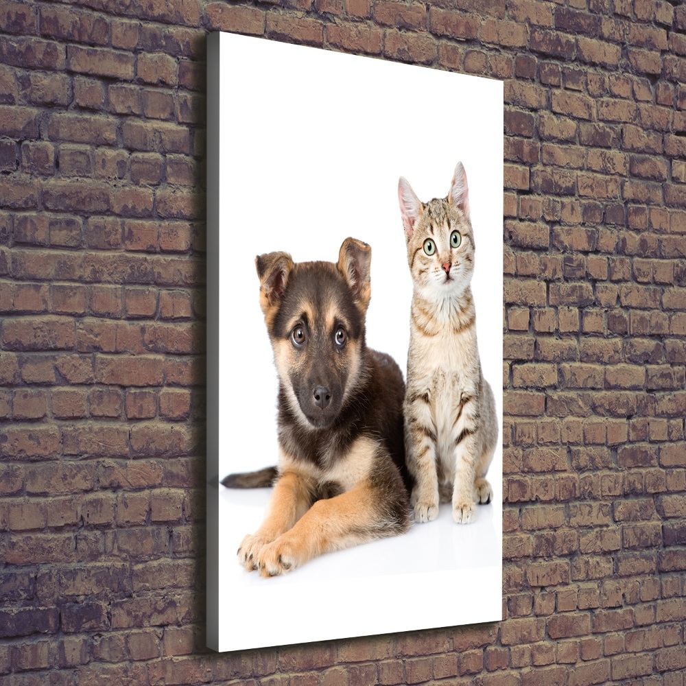 Wall art canvas large Dog and cat