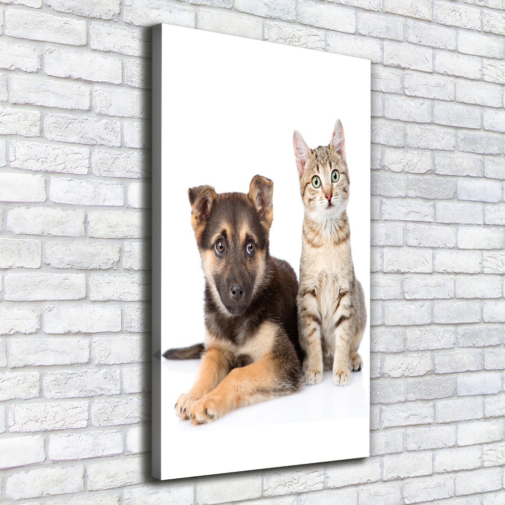 Wall art canvas large Dog and cat