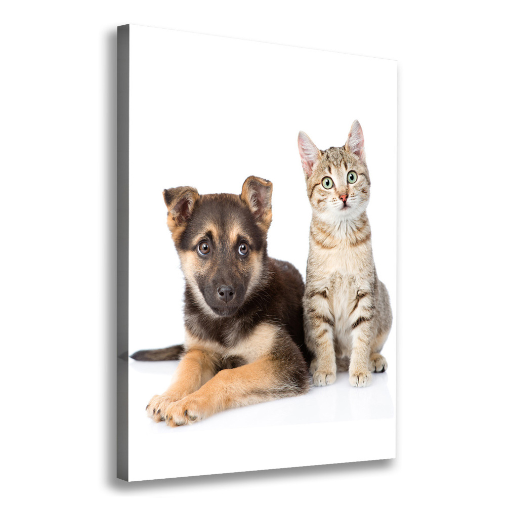 Wall art canvas large Dog and cat