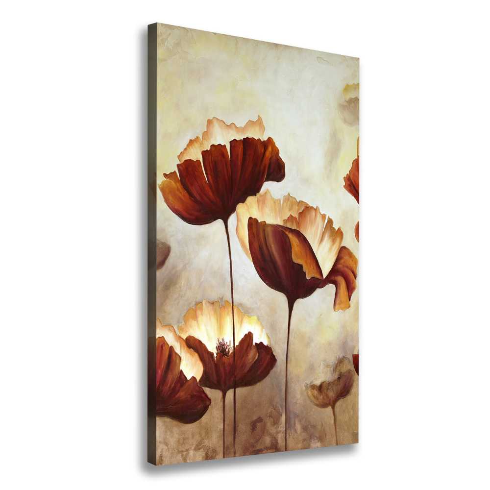 Canvas wall art Field poppies