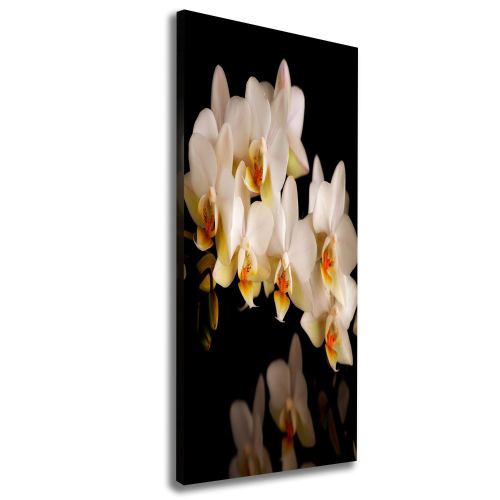 Canvas wall art Orchid