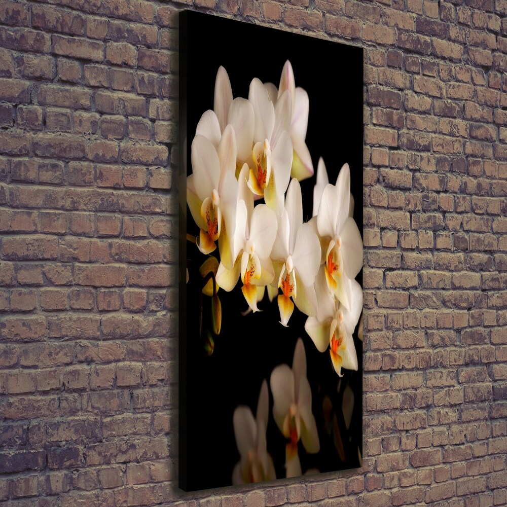 Canvas wall art Orchid