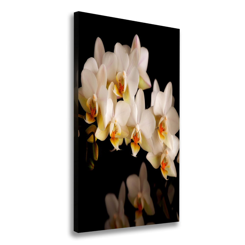 Canvas wall art Orchid