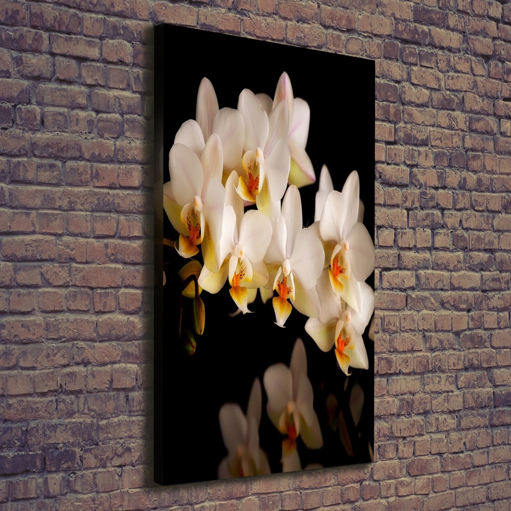 Canvas wall art Orchid