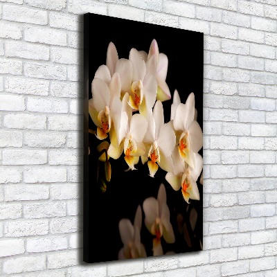 Canvas wall art Orchid