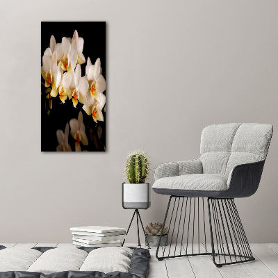 Canvas wall art Orchid