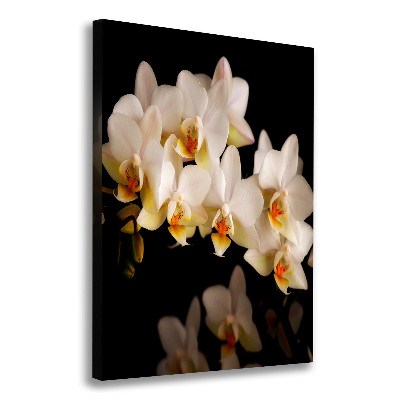 Canvas wall art Orchid