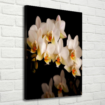 Canvas wall art Orchid