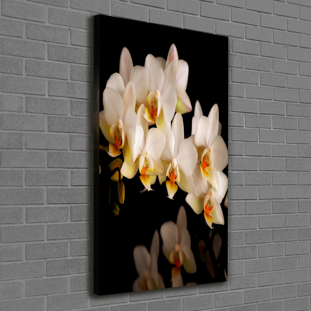 Canvas wall art Orchid