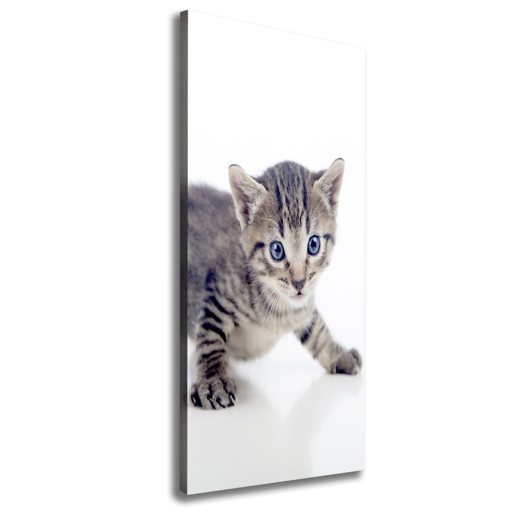 Canvas print Small cat