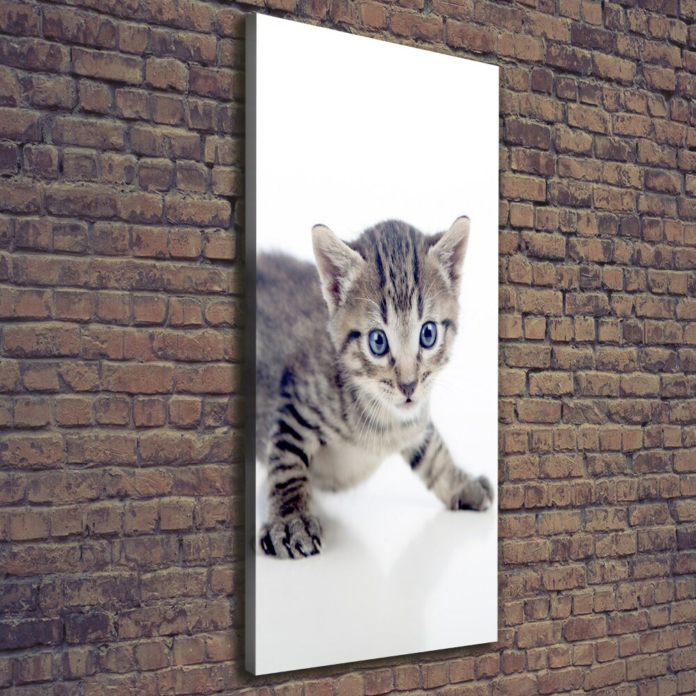 Canvas print Small cat