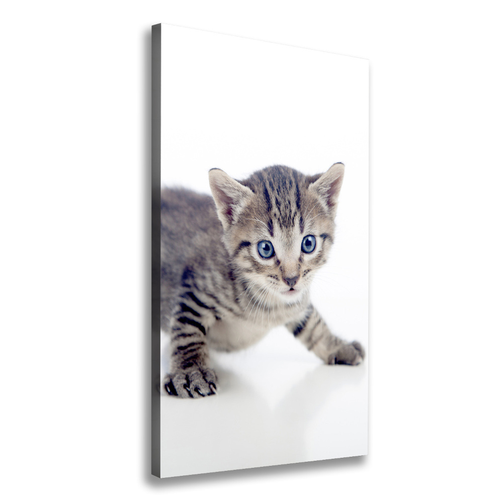 Canvas print Small cat