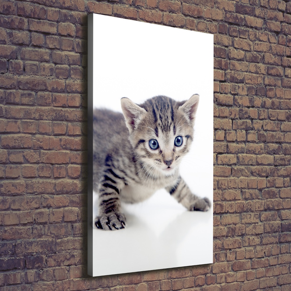 Canvas print Small cat