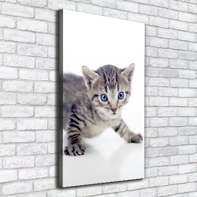 Canvas print Small cat