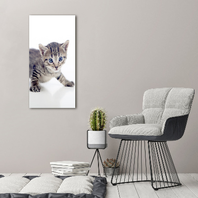 Canvas print Small cat