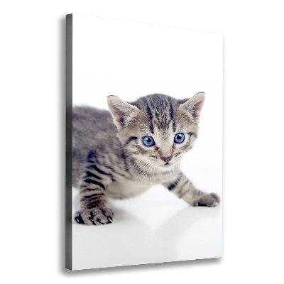 Canvas print Small cat