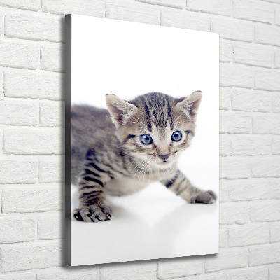 Canvas print Small cat