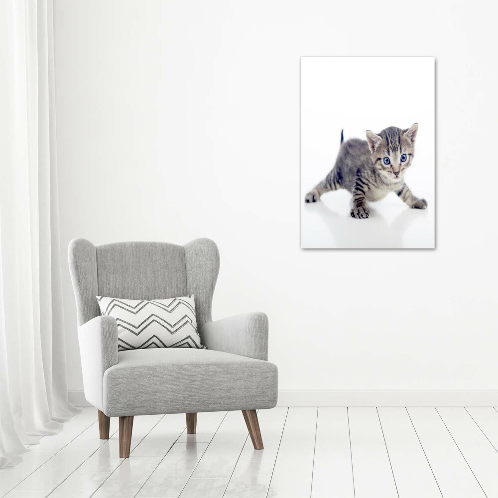 Canvas print Small cat