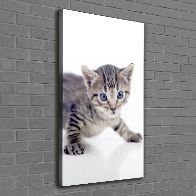 Canvas print Small cat