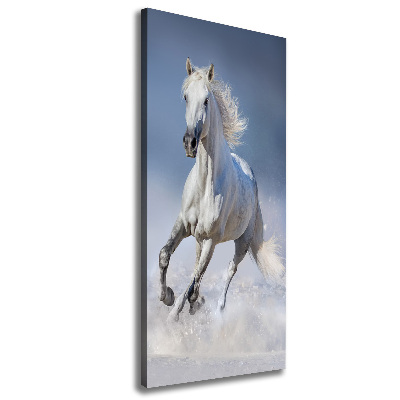 Wall art canvas large White horse at a gallop