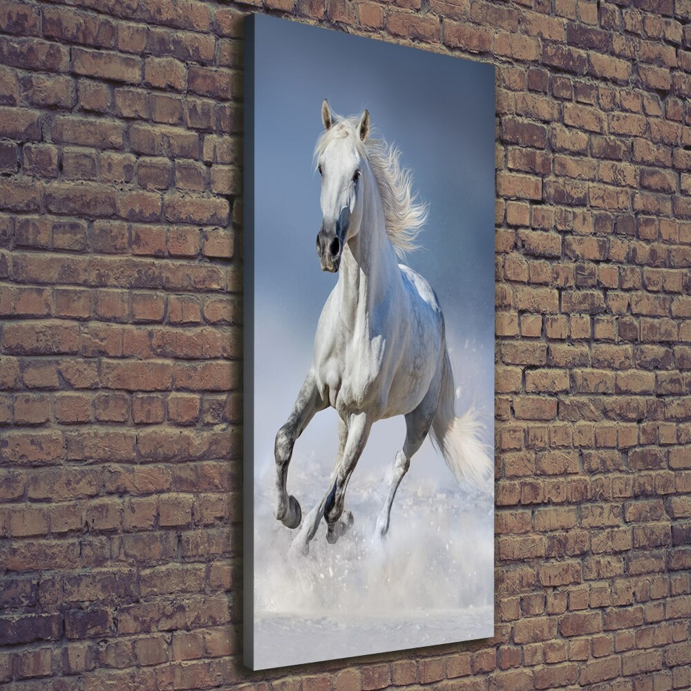 Wall art canvas large White horse at a gallop