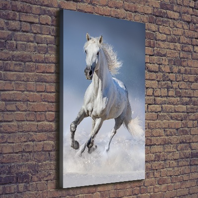 Wall art canvas large White horse at a gallop