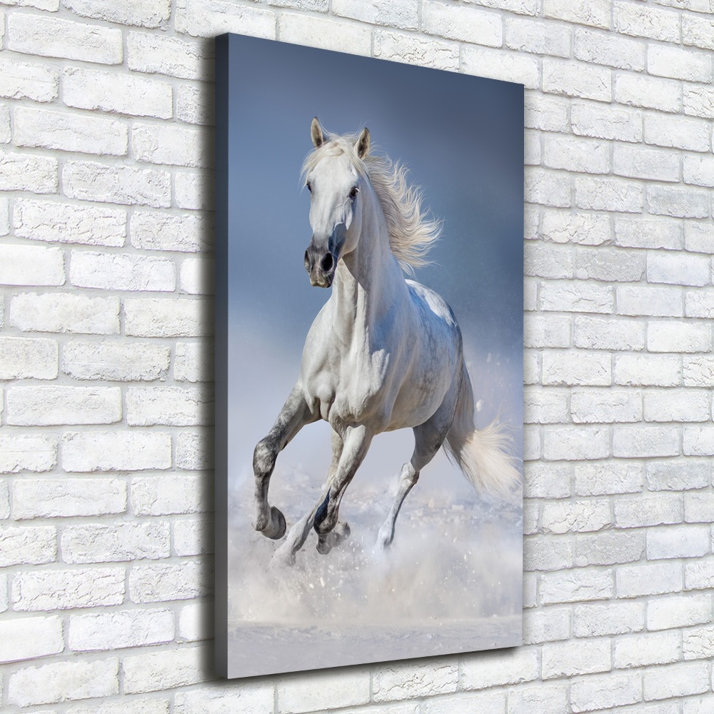 Wall art canvas large White horse at a gallop