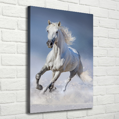 Wall art canvas large White horse at a gallop