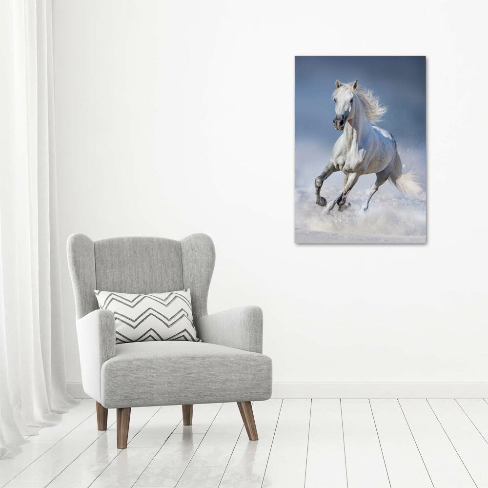 Wall art canvas large White horse at a gallop