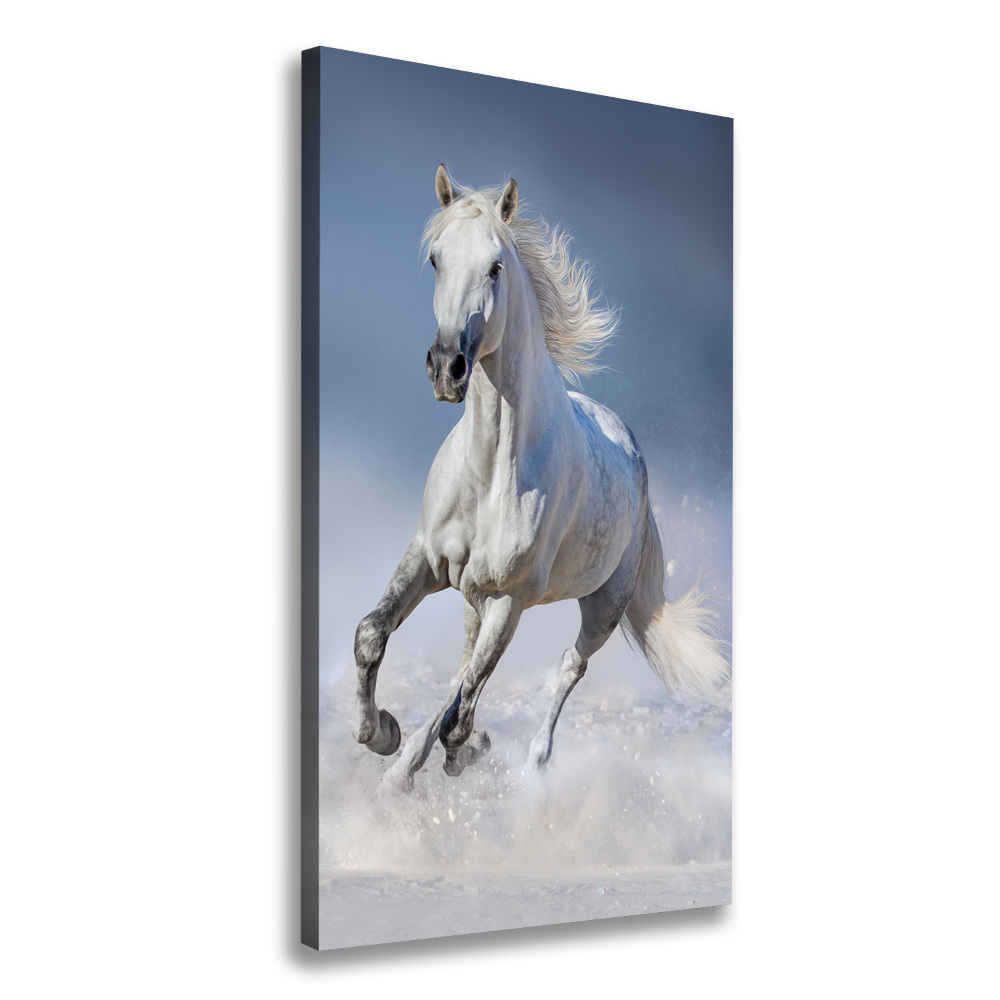 Wall art canvas large White horse at a gallop