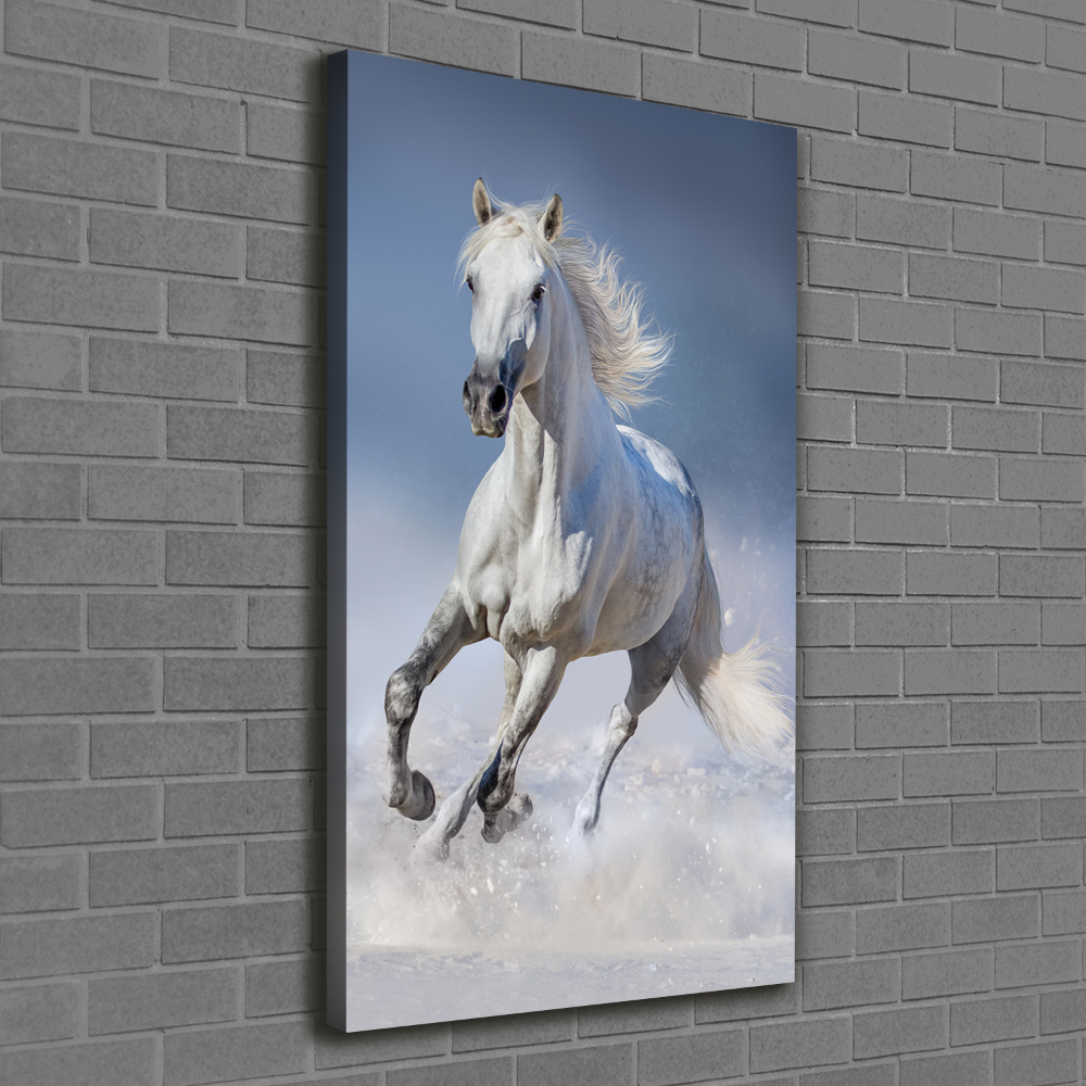 Wall art canvas large White horse at a gallop