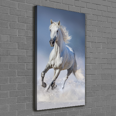 Wall art canvas large White horse at a gallop