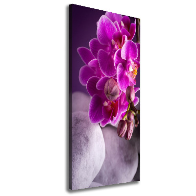 Canvas wall art Pink orchid