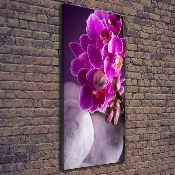 Canvas wall art Pink orchid