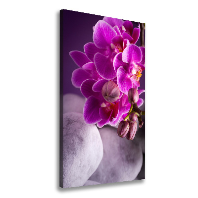 Canvas wall art Pink orchid