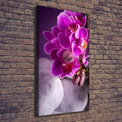 Canvas wall art Pink orchid