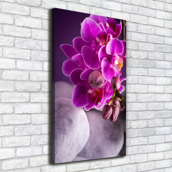 Canvas wall art Pink orchid