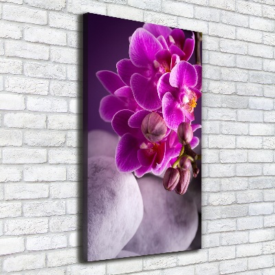 Canvas wall art Pink orchid